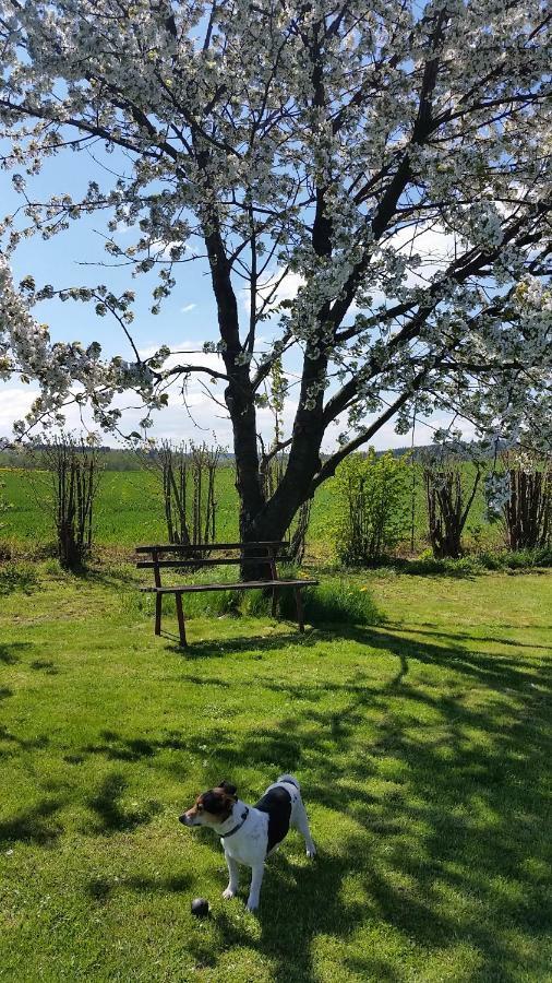 Ferienhaus Stolle Lawalde ภายนอก รูปภาพ